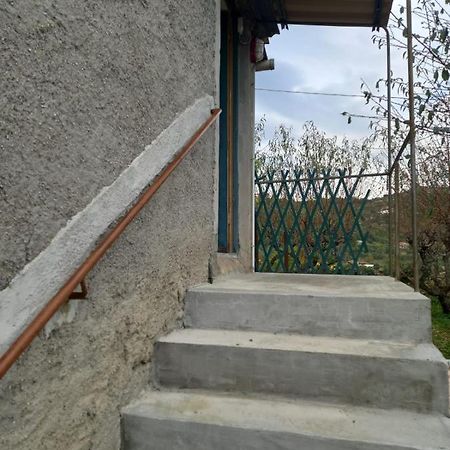 Apartament Casa Vita Vallebona Zewnętrze zdjęcie