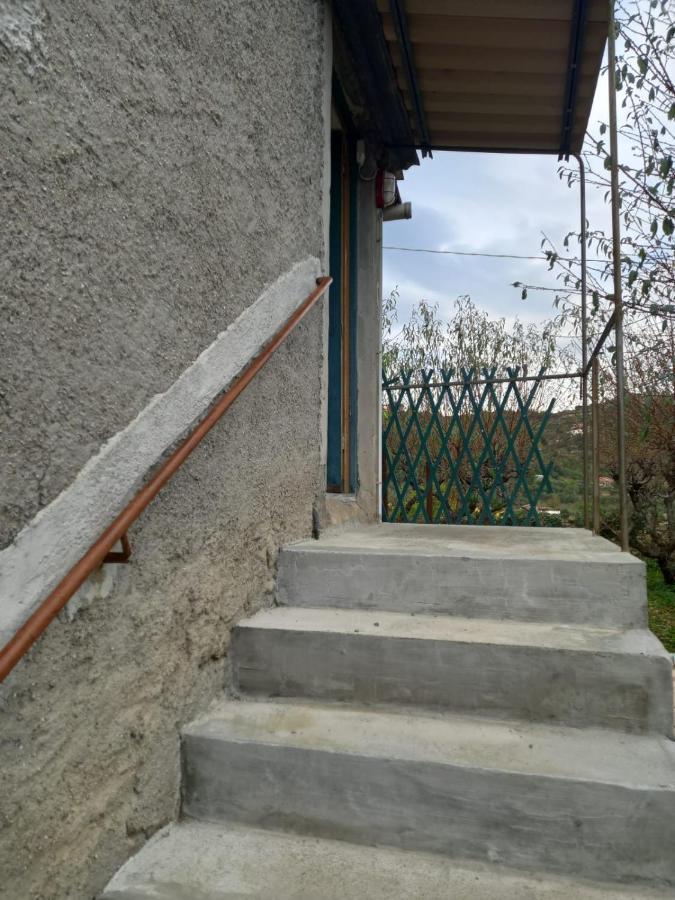 Apartament Casa Vita Vallebona Zewnętrze zdjęcie